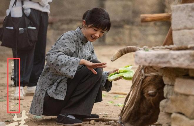 _今晚开播！主演阵容强大，年代剧又出王炸	，《生万物》请靠边站_今晚开播！主演阵容强大，年代剧又出王炸，《生万物》请靠边站